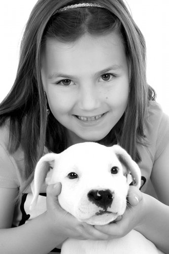 Pets
